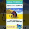 Thumbnail of new posts 034
